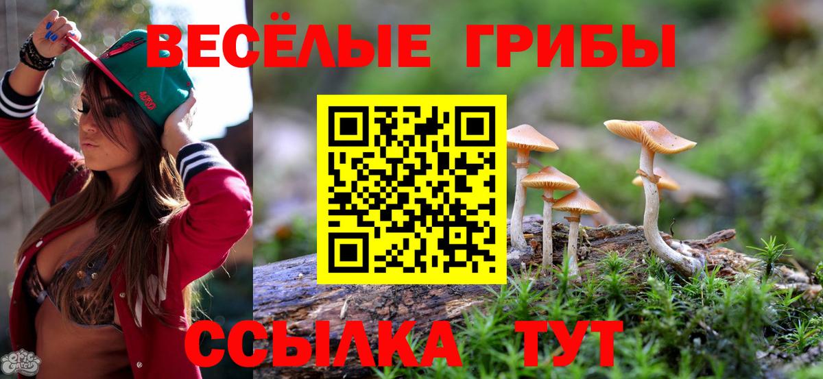 Воткинск  Галлюциногенные грибы Cubensis  Вход с VPN 