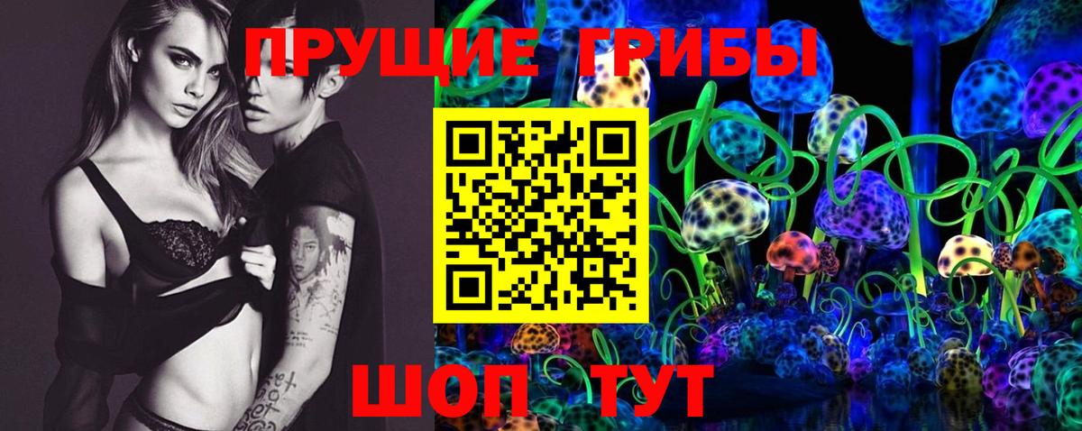 Псилоцибиновые грибы Psilocybe Воткинск
